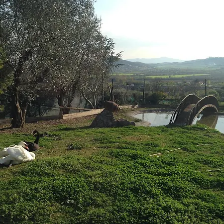 Casale Dei Gelsomini بيت للعطل *
